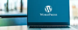 theme WordPress