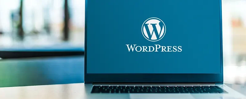 theme WordPress